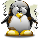 Penguin pingouin pinguino 882